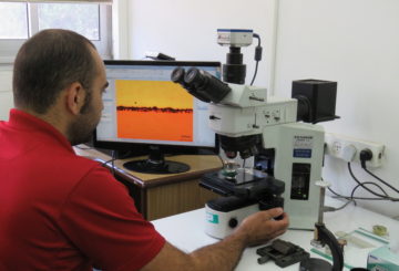 Optical Measurements